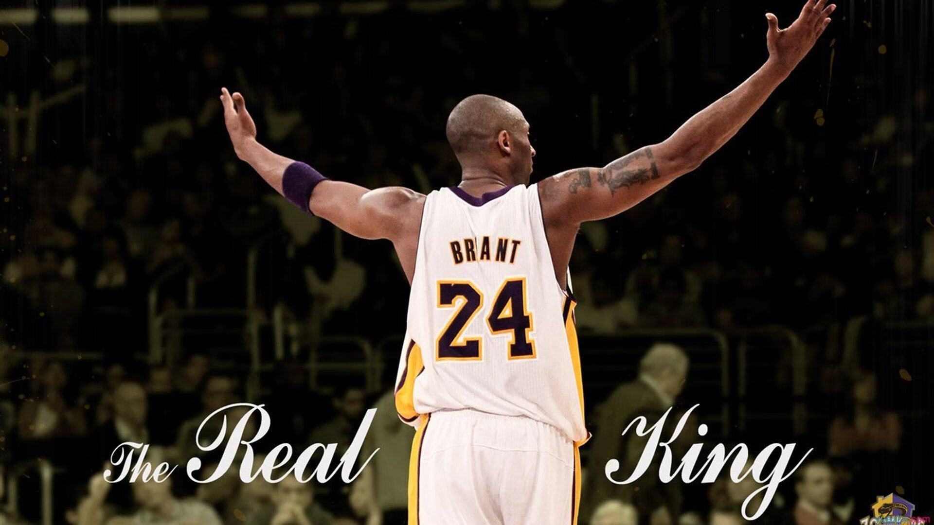 体育赛事创新发展策略探讨，体育赛事运作的主要研究方向包括